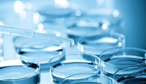 專(zhuān)利變現(xiàn)還是技術(shù)突圍？熱景生物科創(chuàng)板IVD首秀背后的市場(chǎng)考驗(yàn)